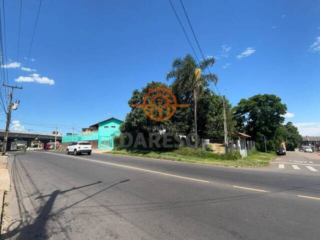 #984 - Terreno para Venda em Sapucaia do Sul - RS - 1